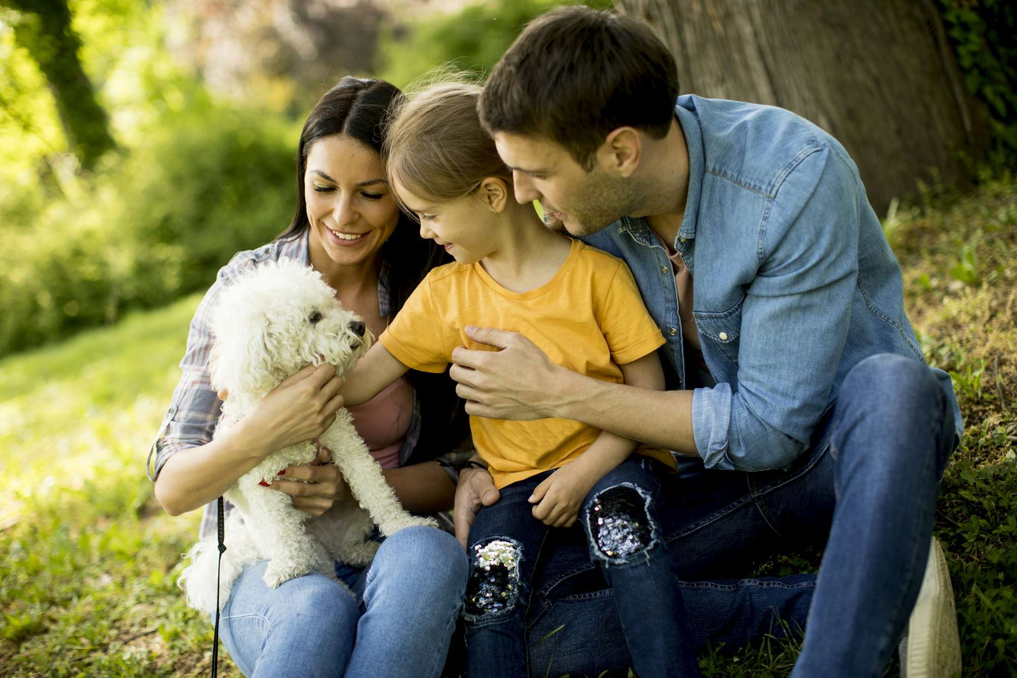 Happy family with cute bichon dog in the park